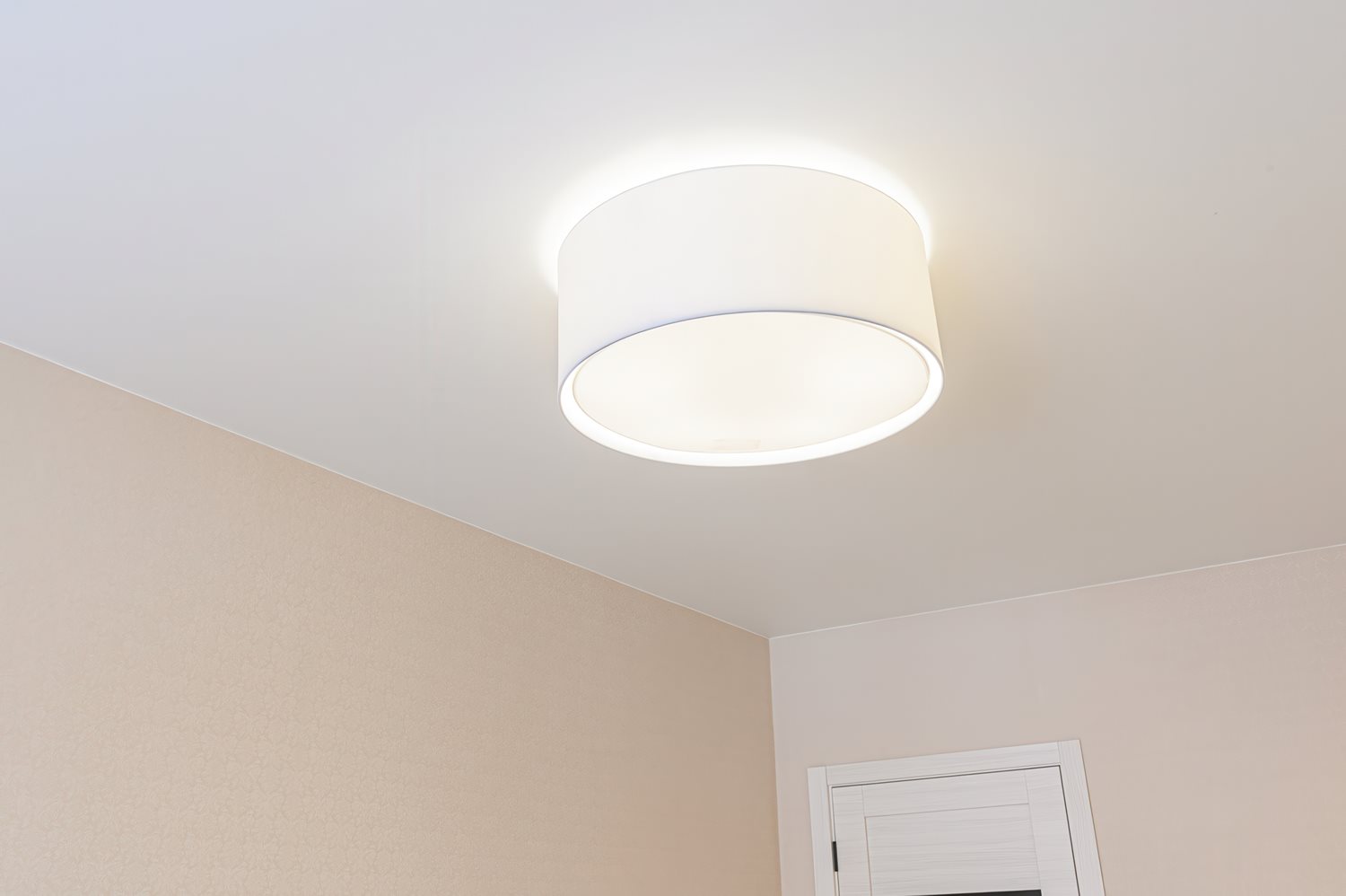 Surface mounted light
